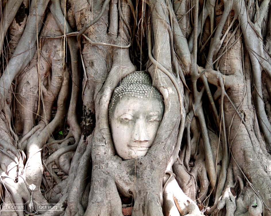 ayutthaya thailande