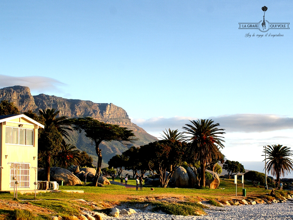 cape town afrique du sud voyage enfants