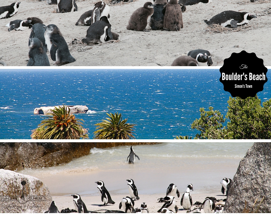 cape town afrique du sud voyage enfants