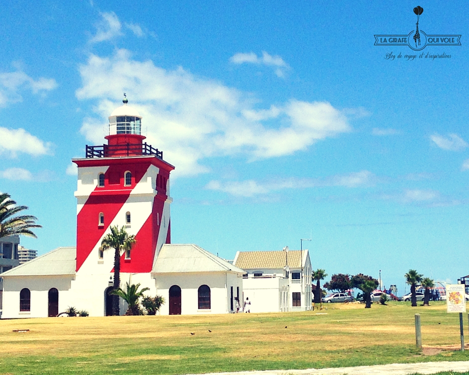 cape town afrique du sud voyage enfants