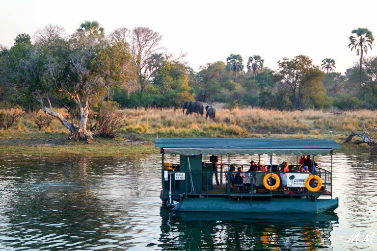 safari Afrique blog voyage la girafe qui vole