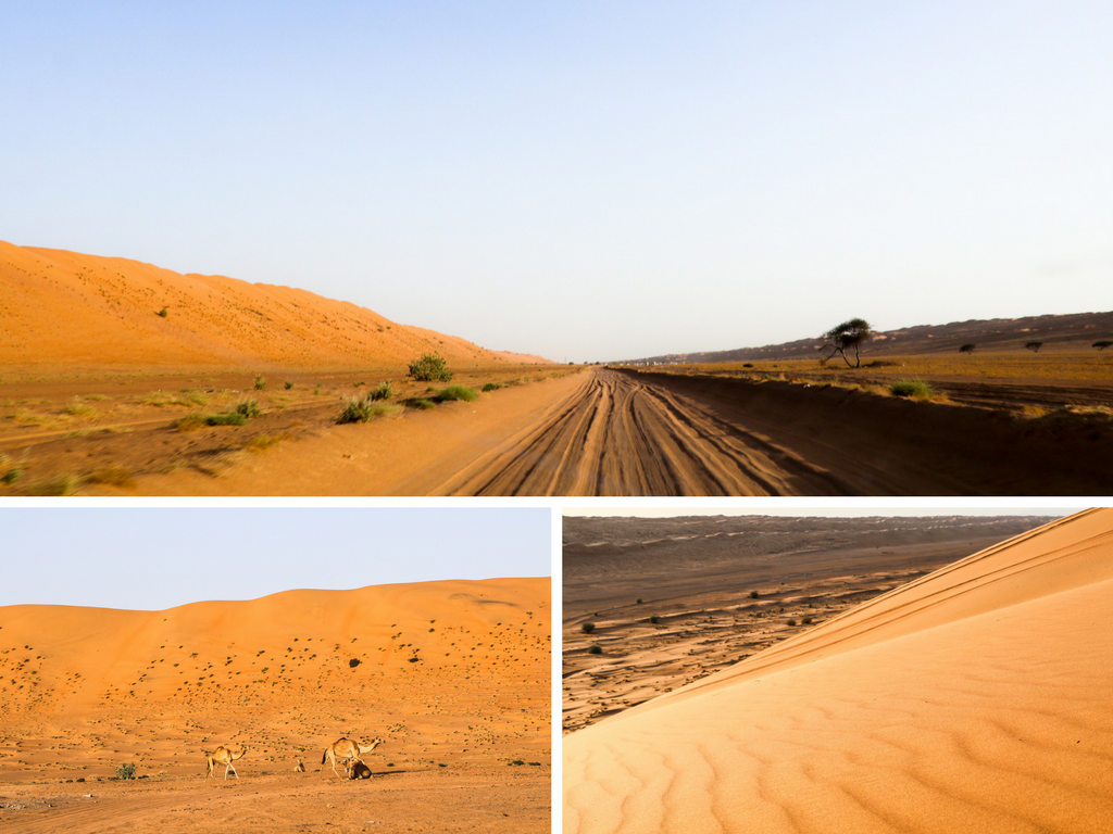 voyage oman blog la girafe qui vole