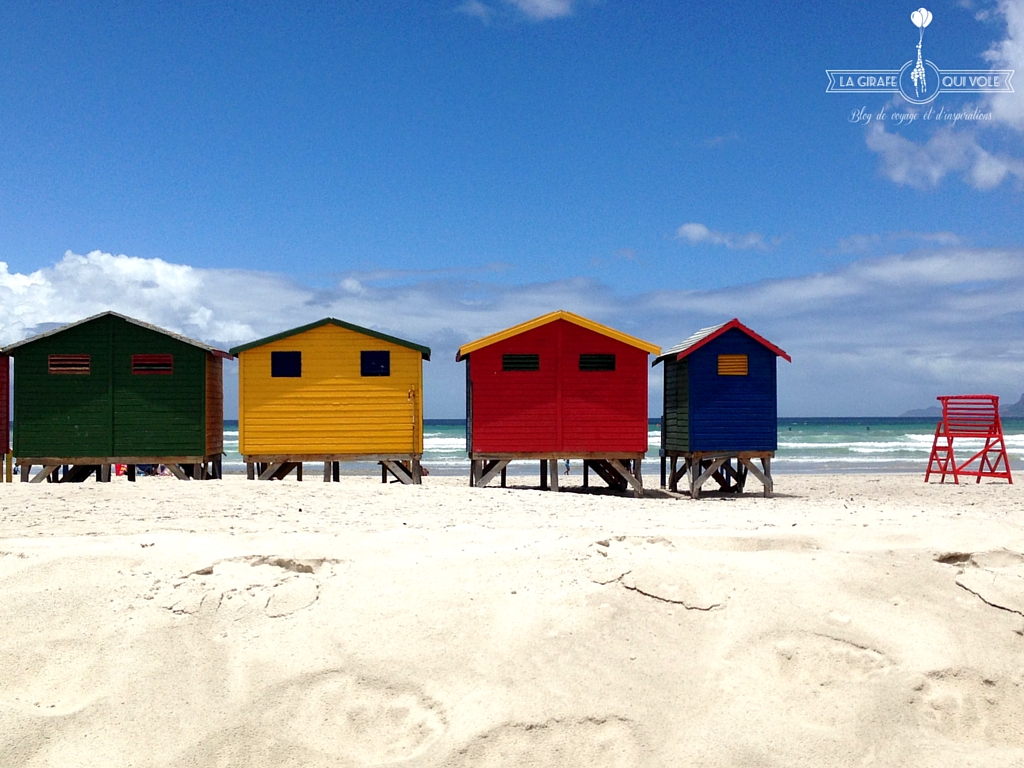 J'ai testé le surf à Cape Town en Afrique du Sud