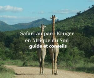 Safari-parc -kruger -afriquedusud