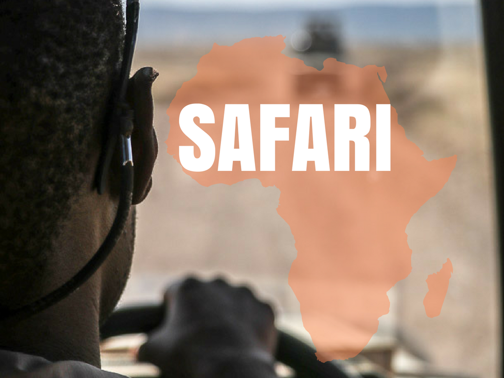 safari afrique