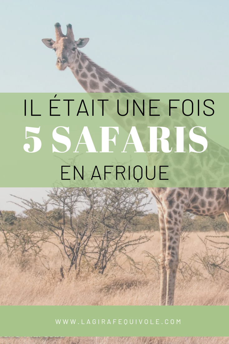 safaris Afrique