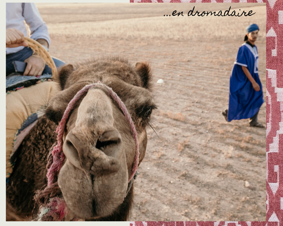campement désert agafay Marokko