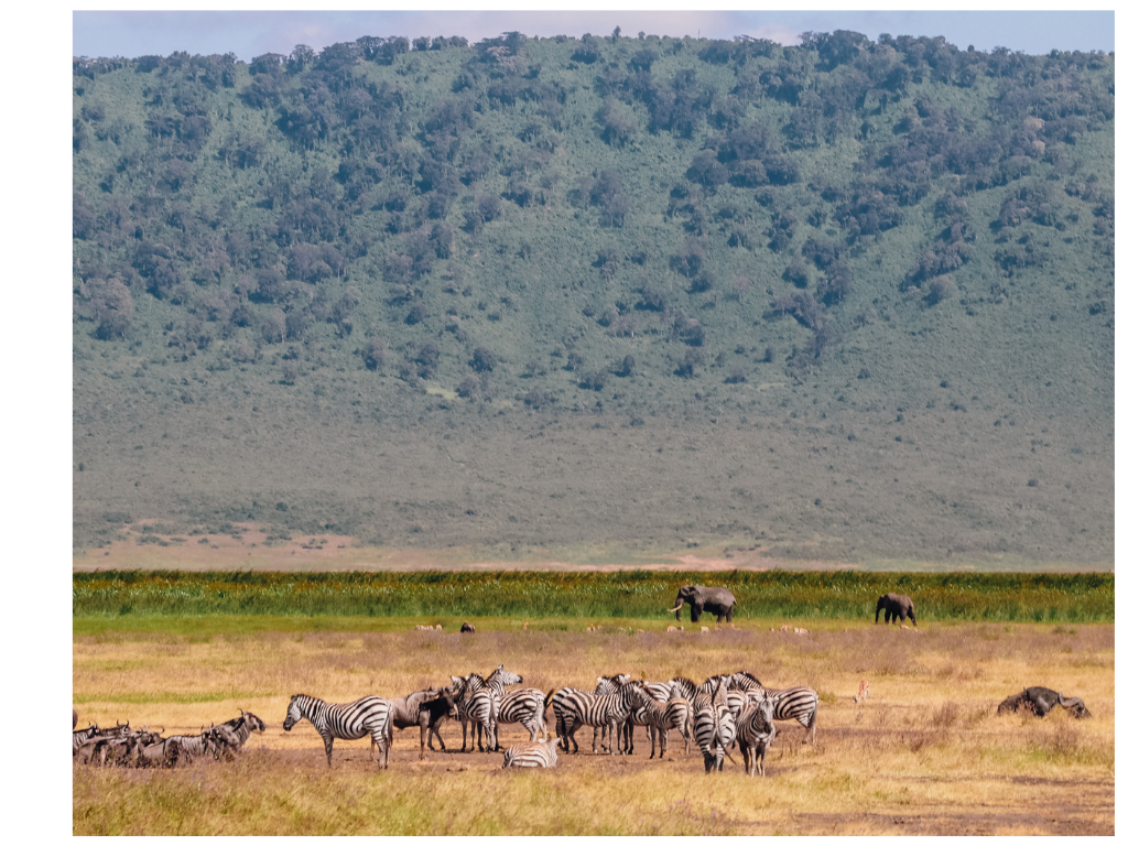 voyage tanzanie