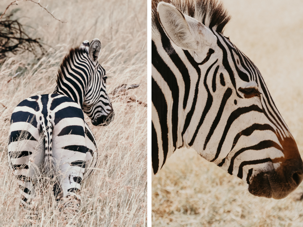 voyage tanzanie