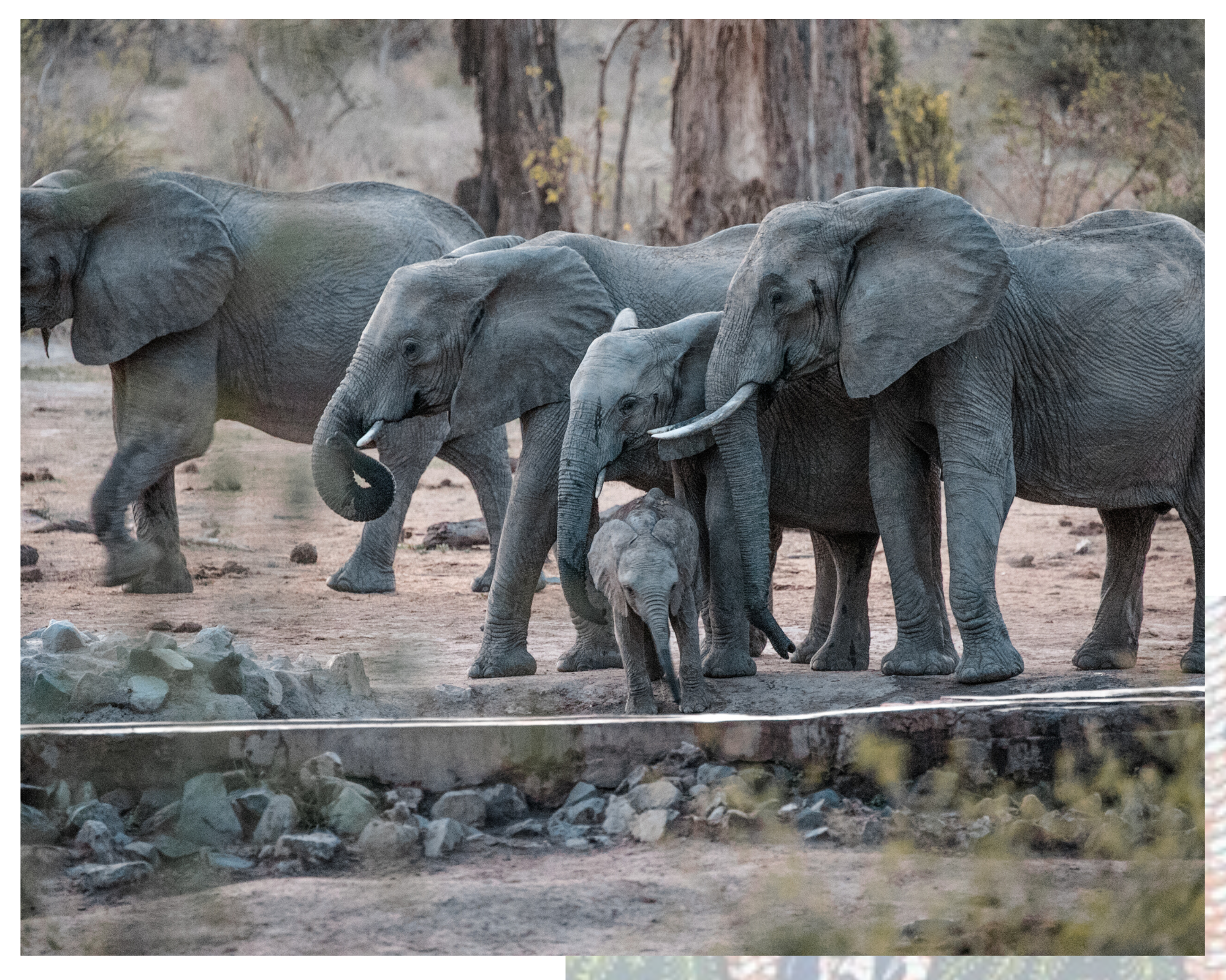 voyage Tanzanie du sud