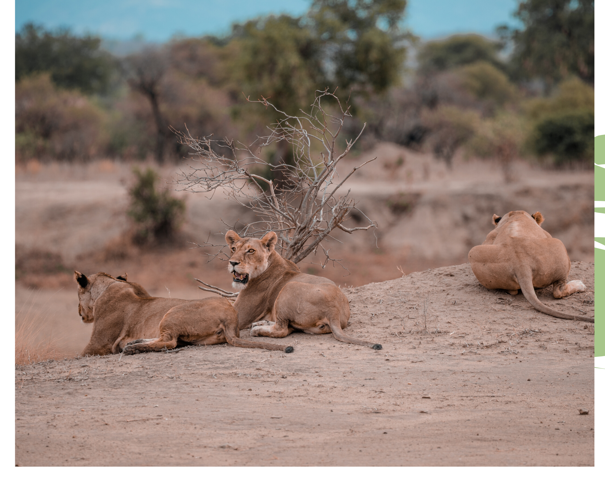 voyage Tanzanie du sud