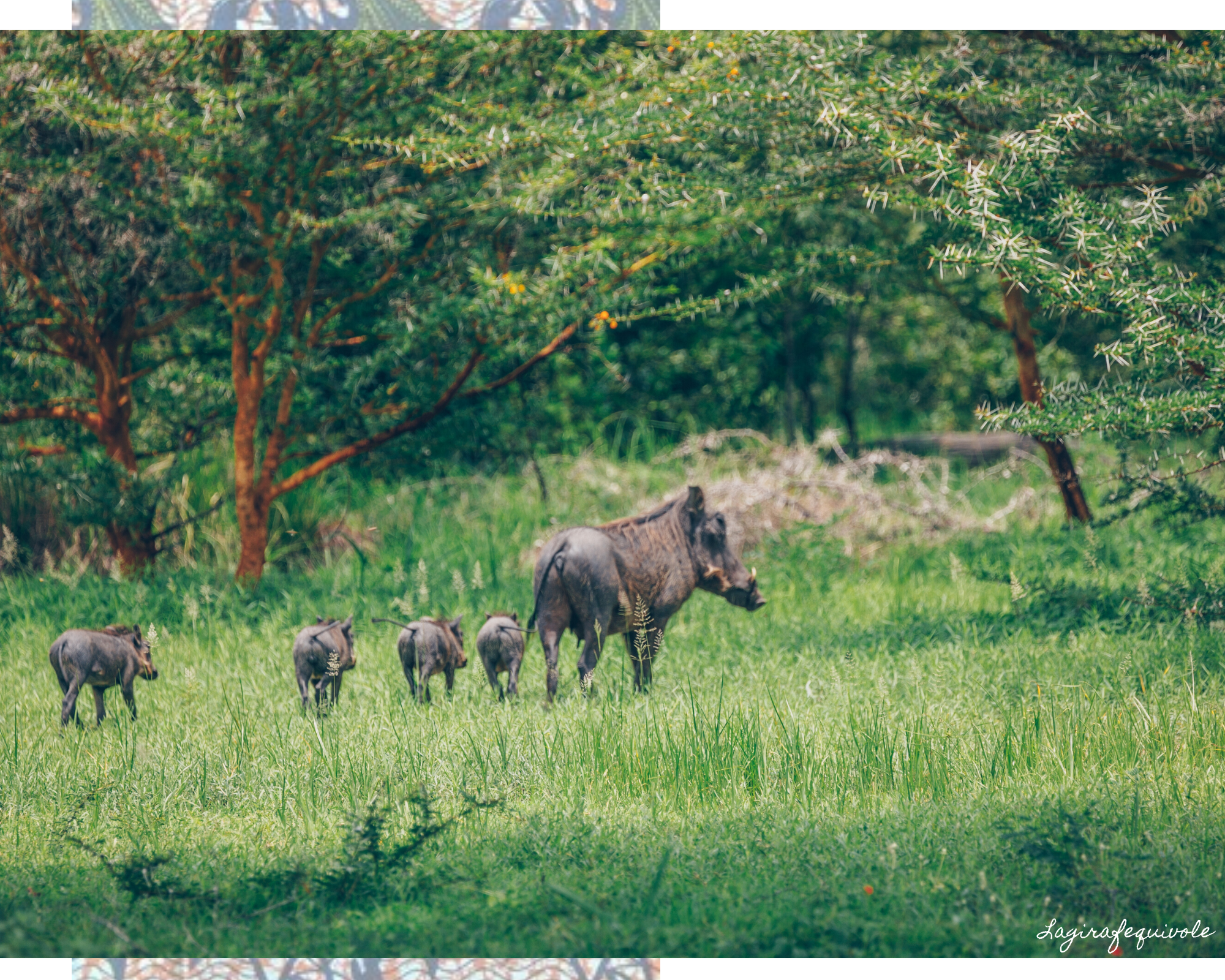 voyage Tanzanie du sud