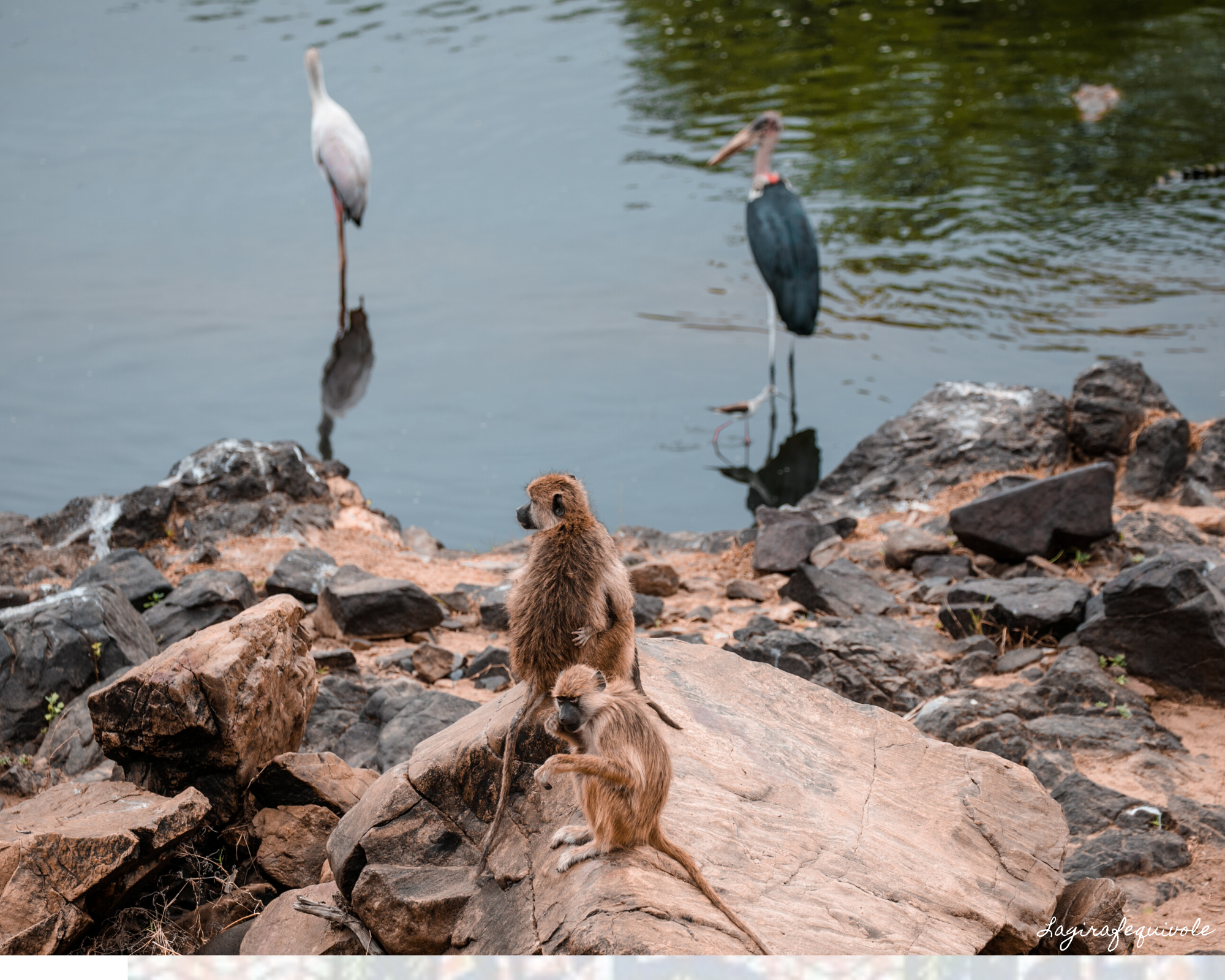 voyage tanzanie sud