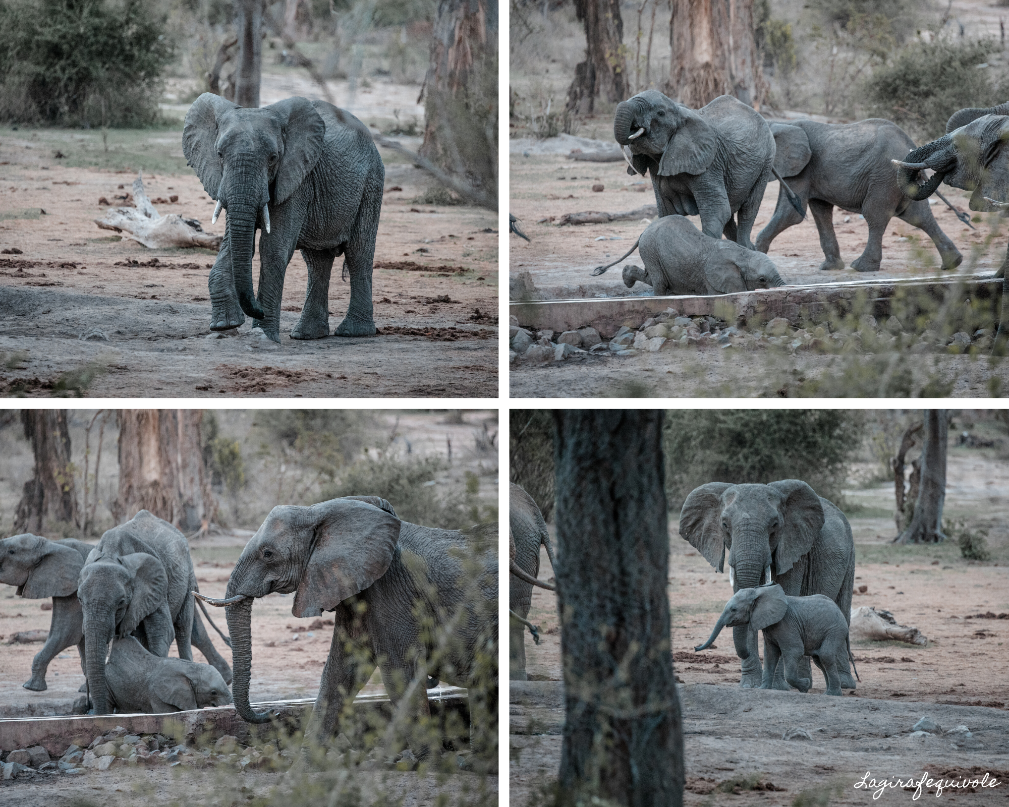 voyage tanzanie sud