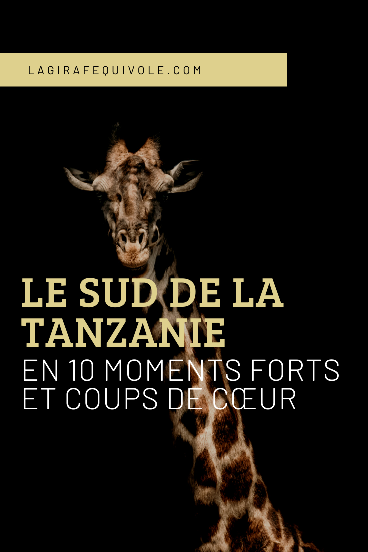 voyage tanzanie sud 