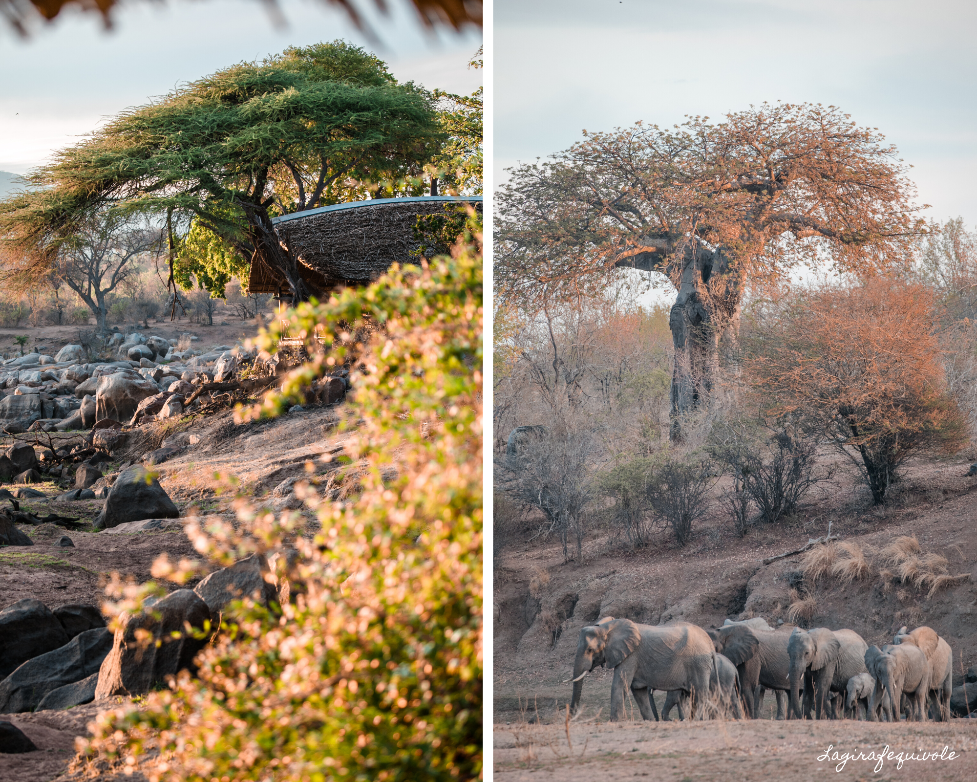 voyage tanzanie sud