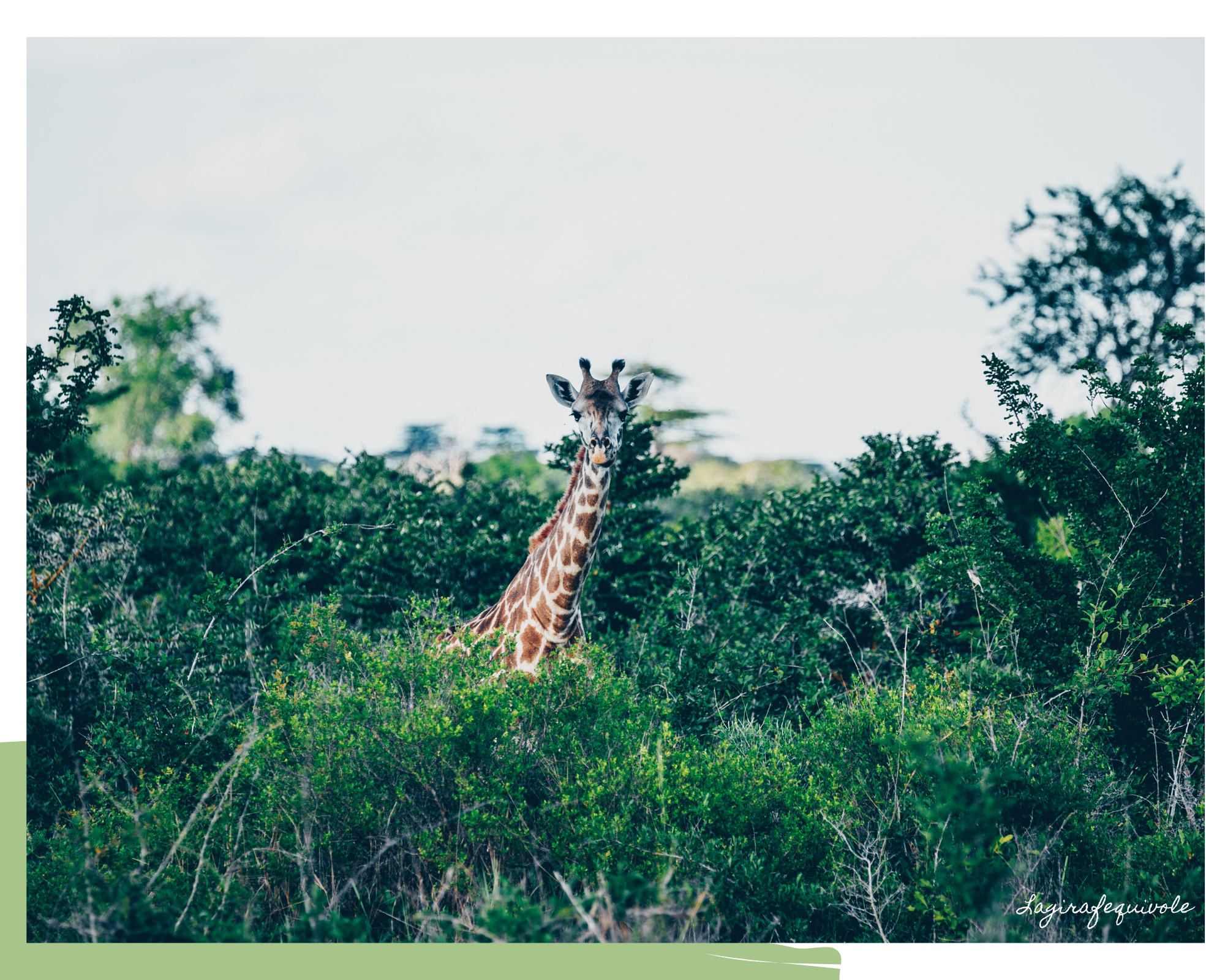 voyage tanzanie sud 