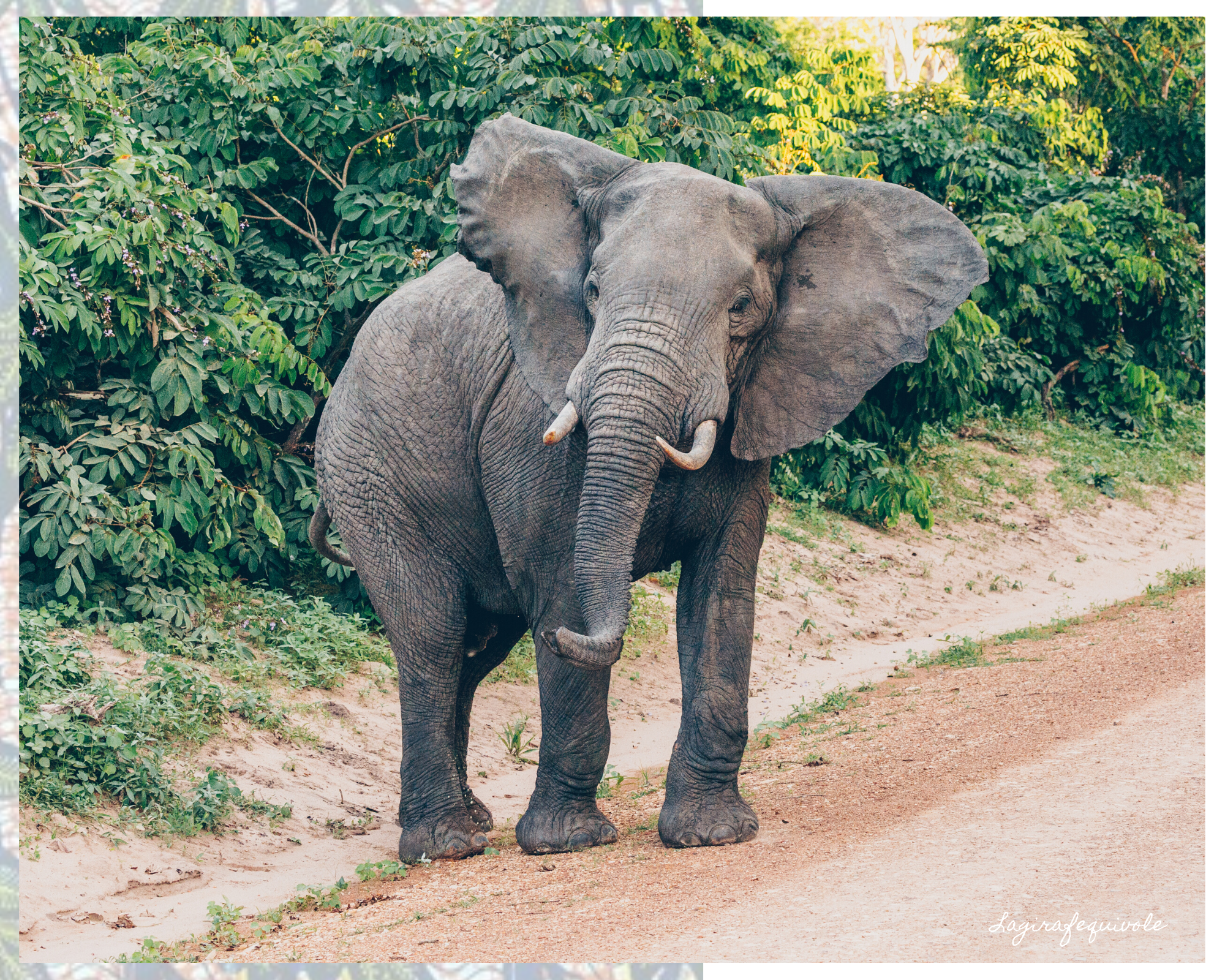 voyage tanzanie sud