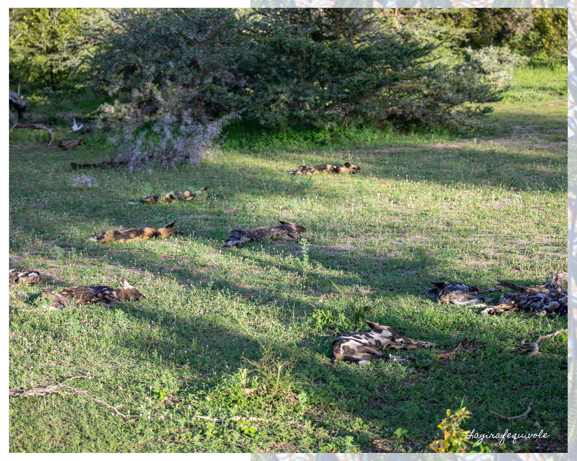 voyage tanzanie sud