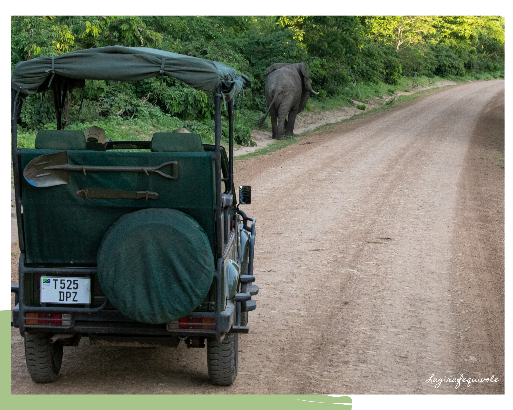 voyage tanzanie sud