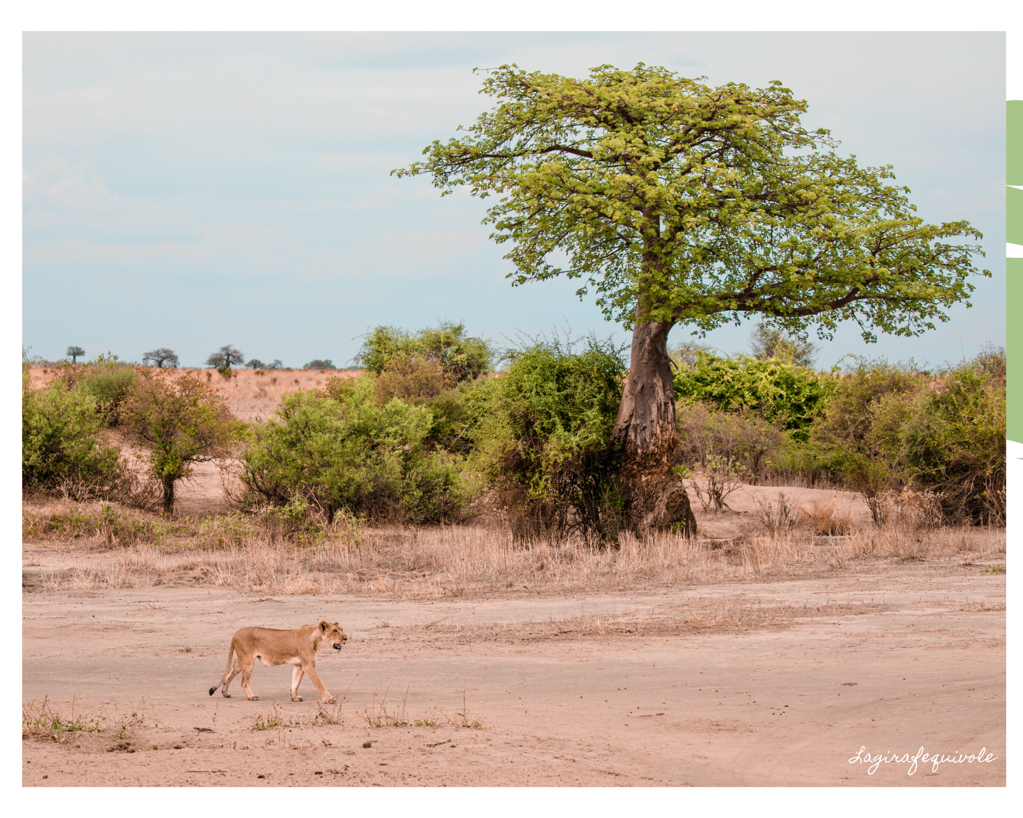 voyage tanzanie sud