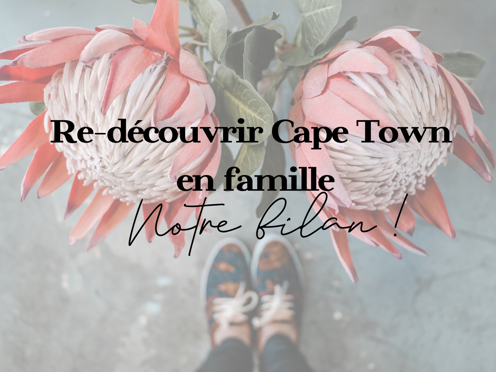 voyage Cape Town afrique du sud