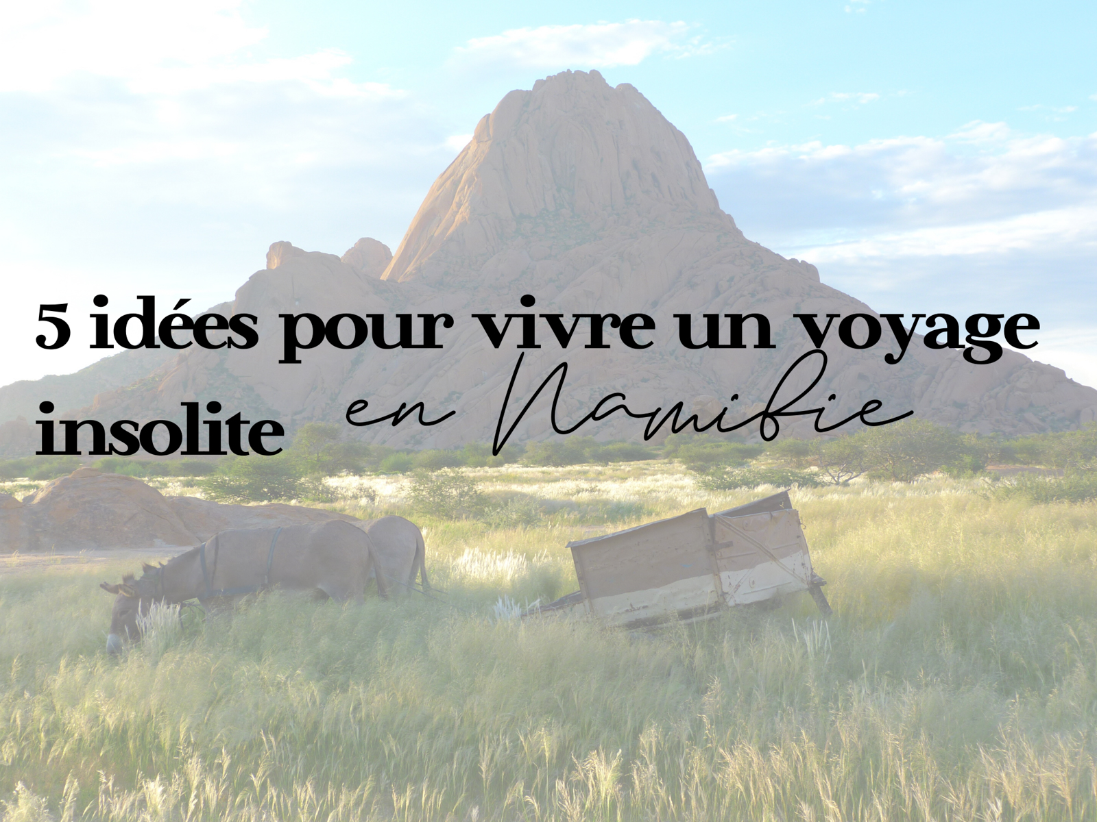 voyage namibie insolite