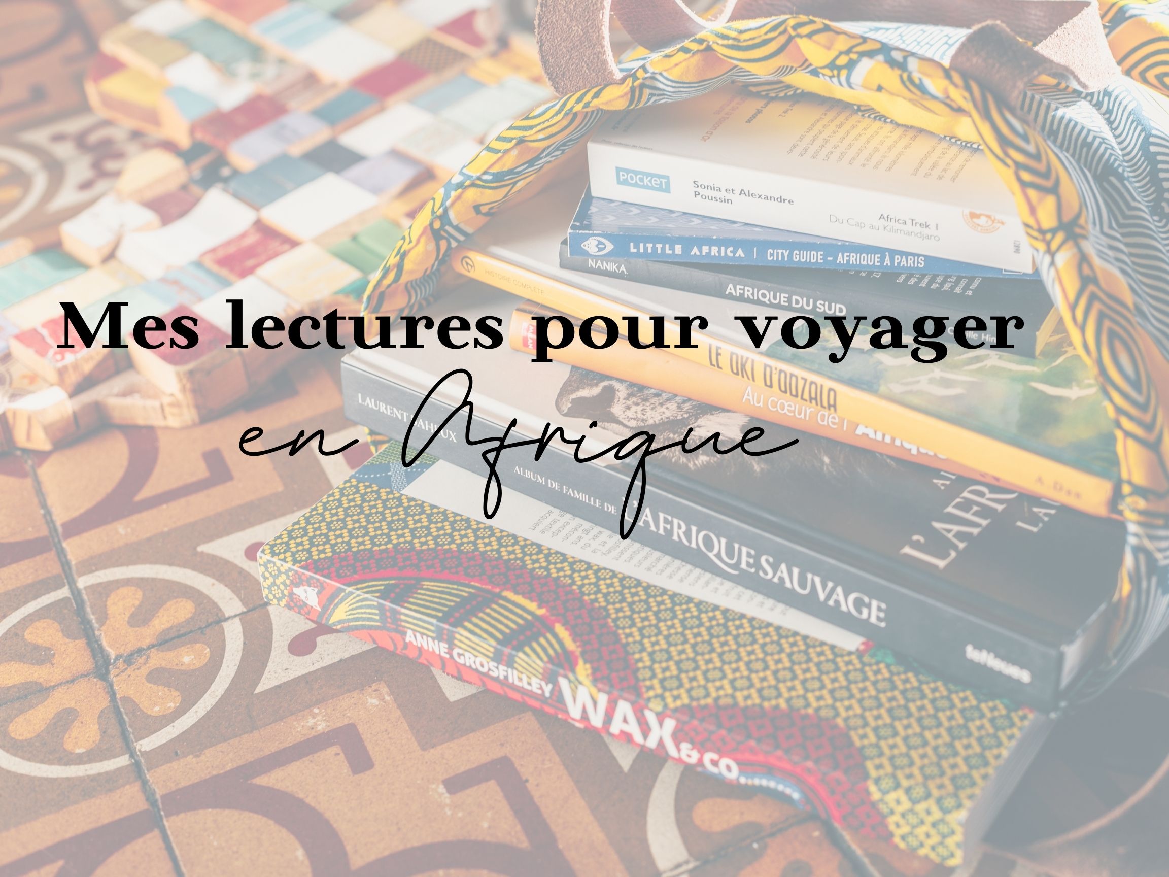 livre voyage Afrique