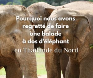 balade-elephant-voyage-thailande