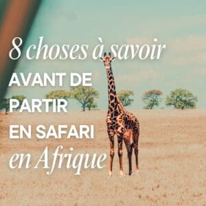conseil-safari-voyage-afrique