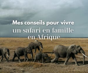 conseils-safari-famille-voyage-afrique
