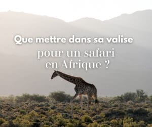 valise-safari-voyage-afrique